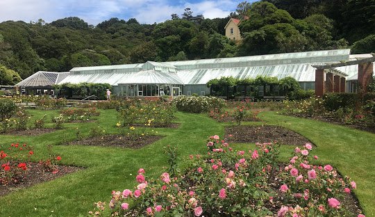 Wellington Botanic Gardens – scenic gardens, native forest and city views